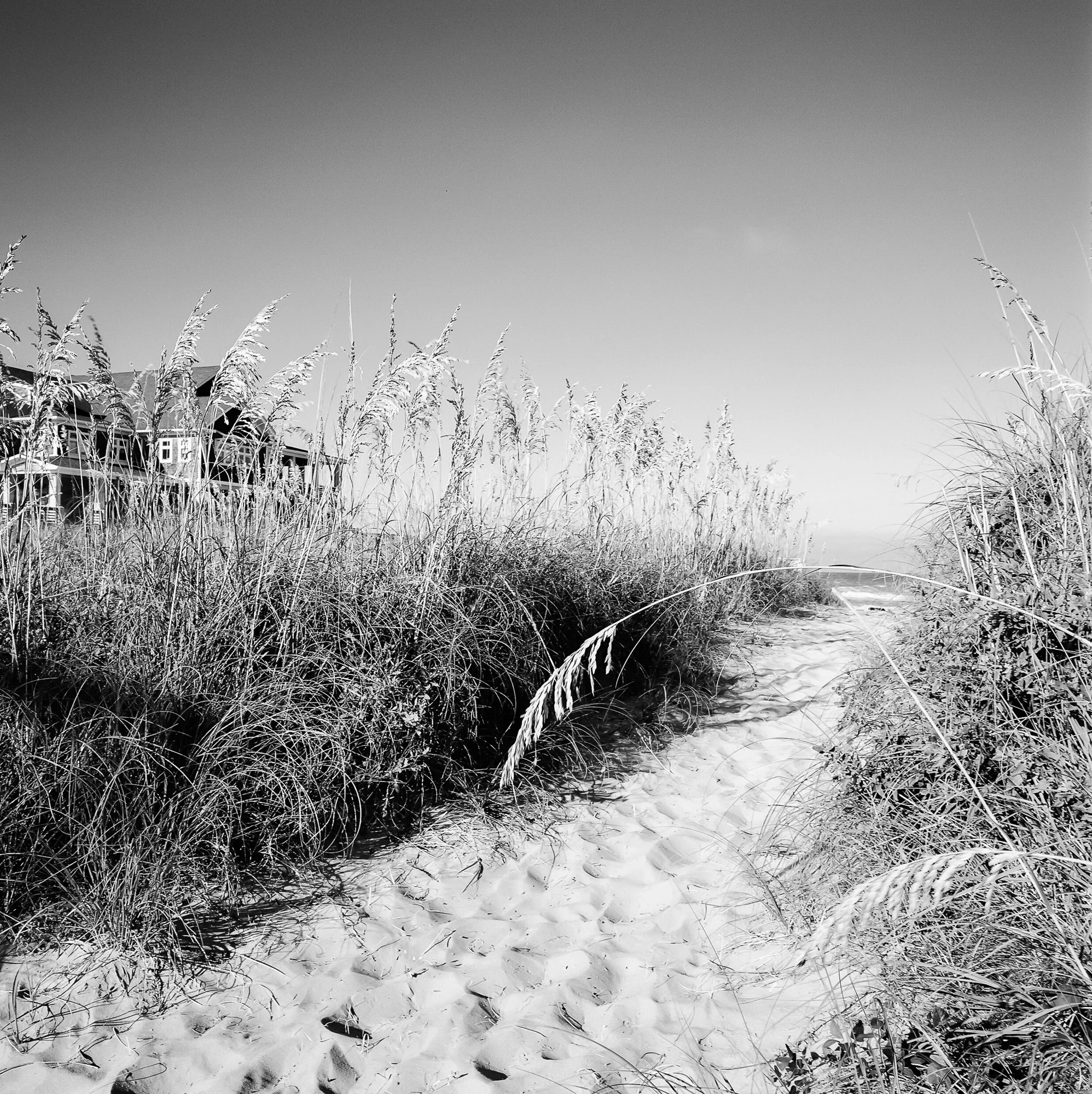 Ilford XP2 - My Go-To Black and White Film — Peter Jeffrey